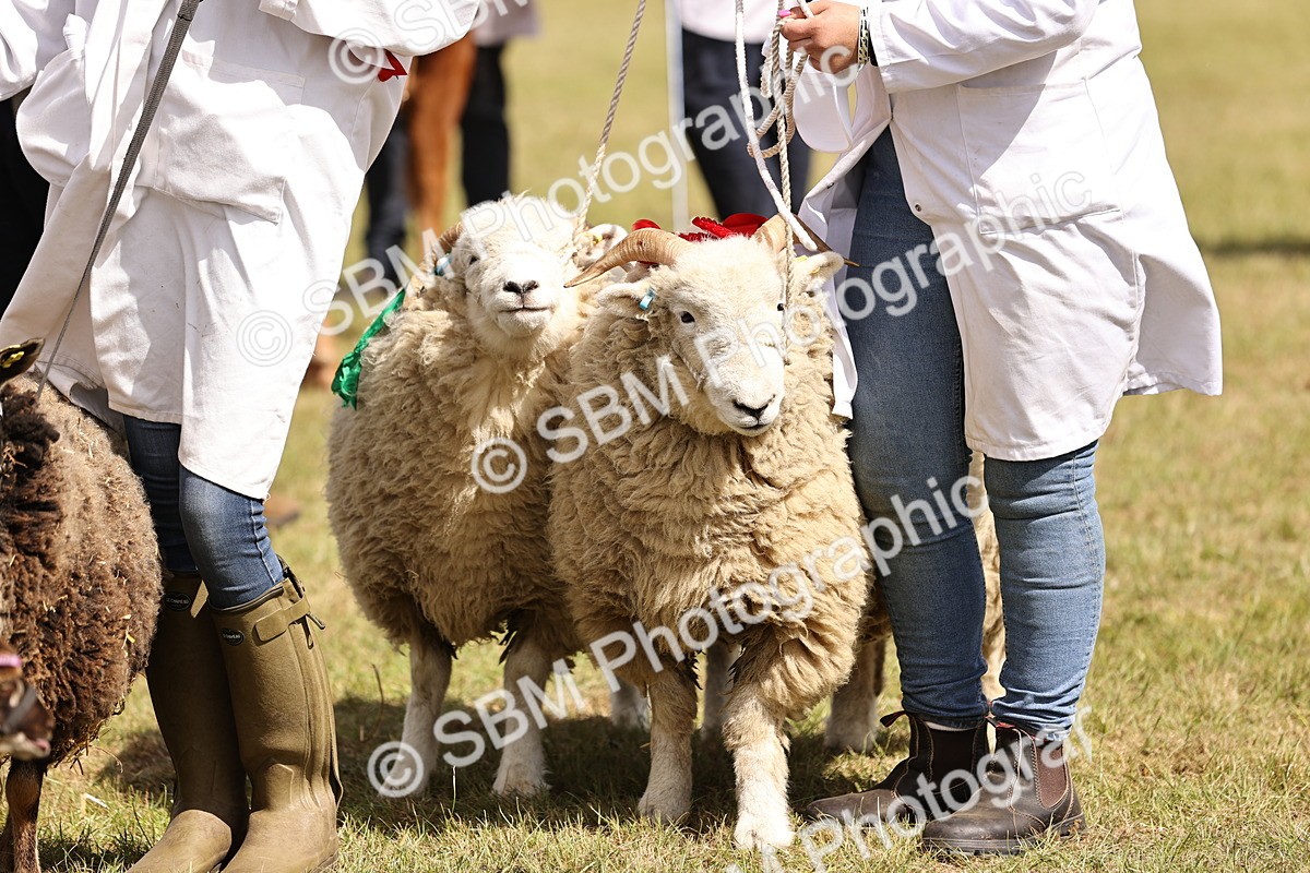 SBM_16929 - Grand Parade