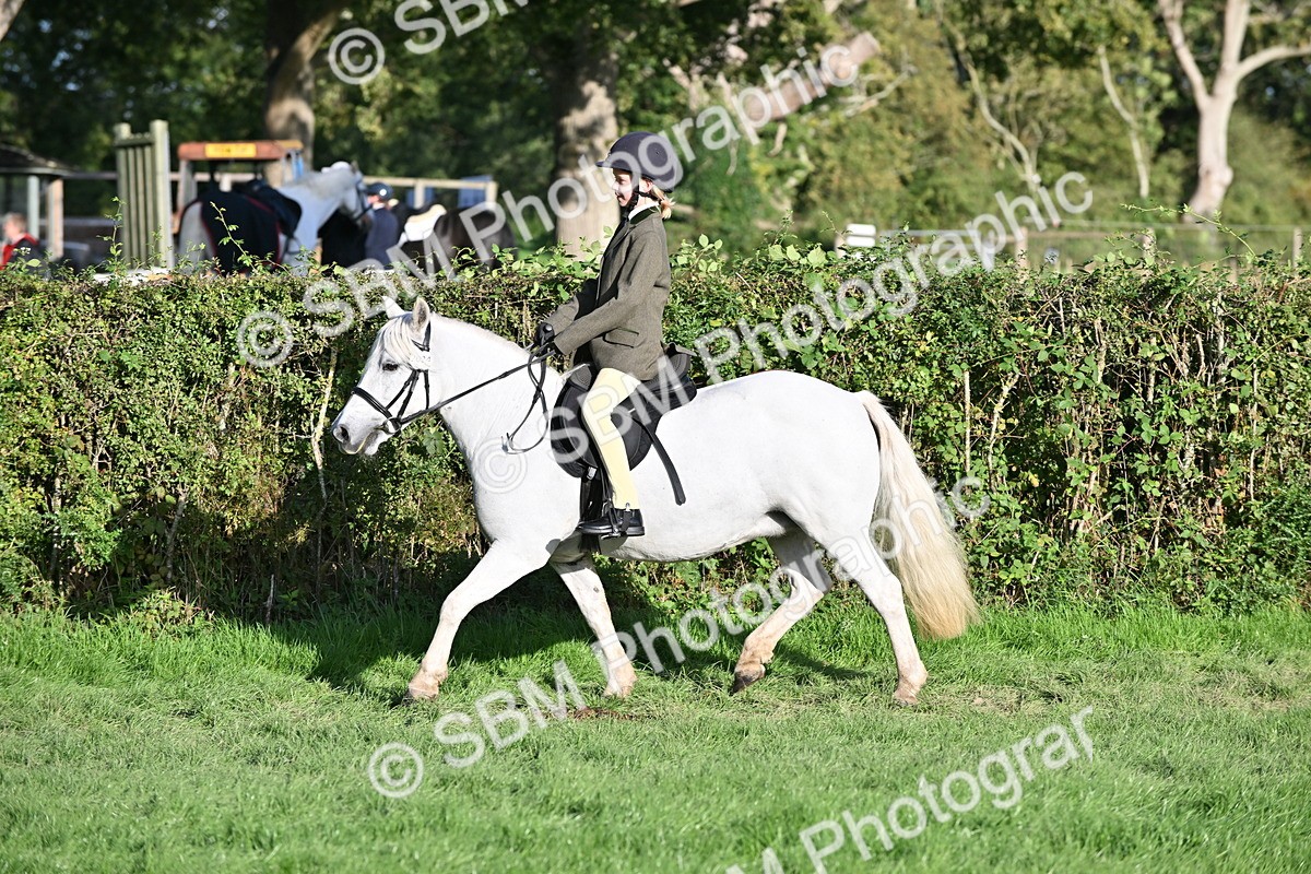 SBM_53065 - S23 - First Ridden Mountain & Moorland Pony