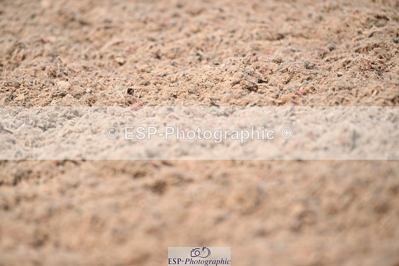 240621A-141928-04251 - Cls 8 BD Elementary 53