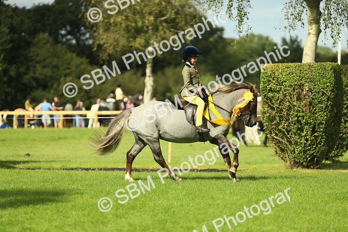 SBM_44934 - Working Hunter Pony Supreme Championship