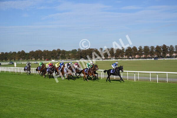 yr08102021r4-21 - Race 4 3.50pm Casumo Dare To be Different Handicap