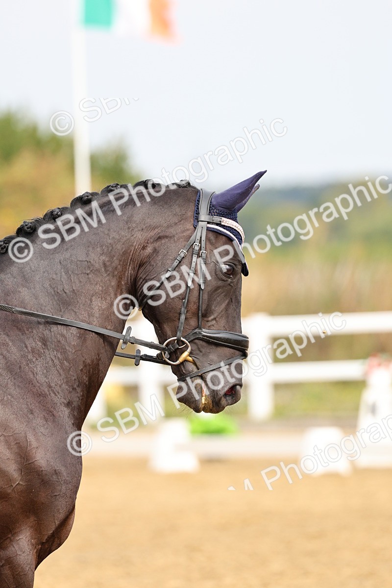 SBM_012188 - Class 2 - Prelim 5