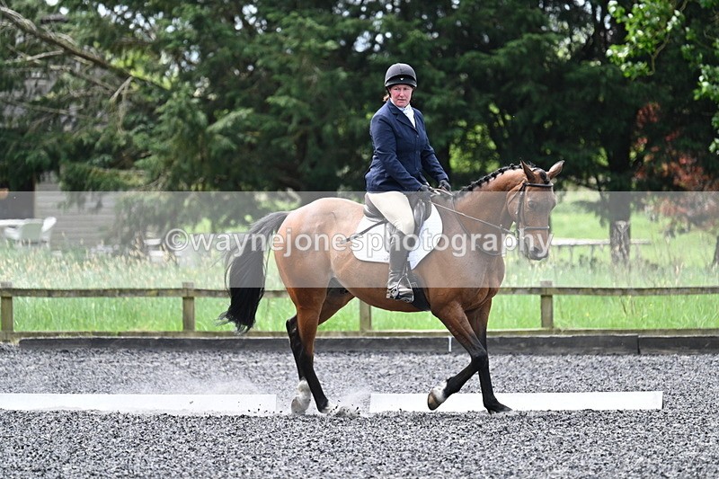 WJ7_8959 - Time 11:32 to 11:54