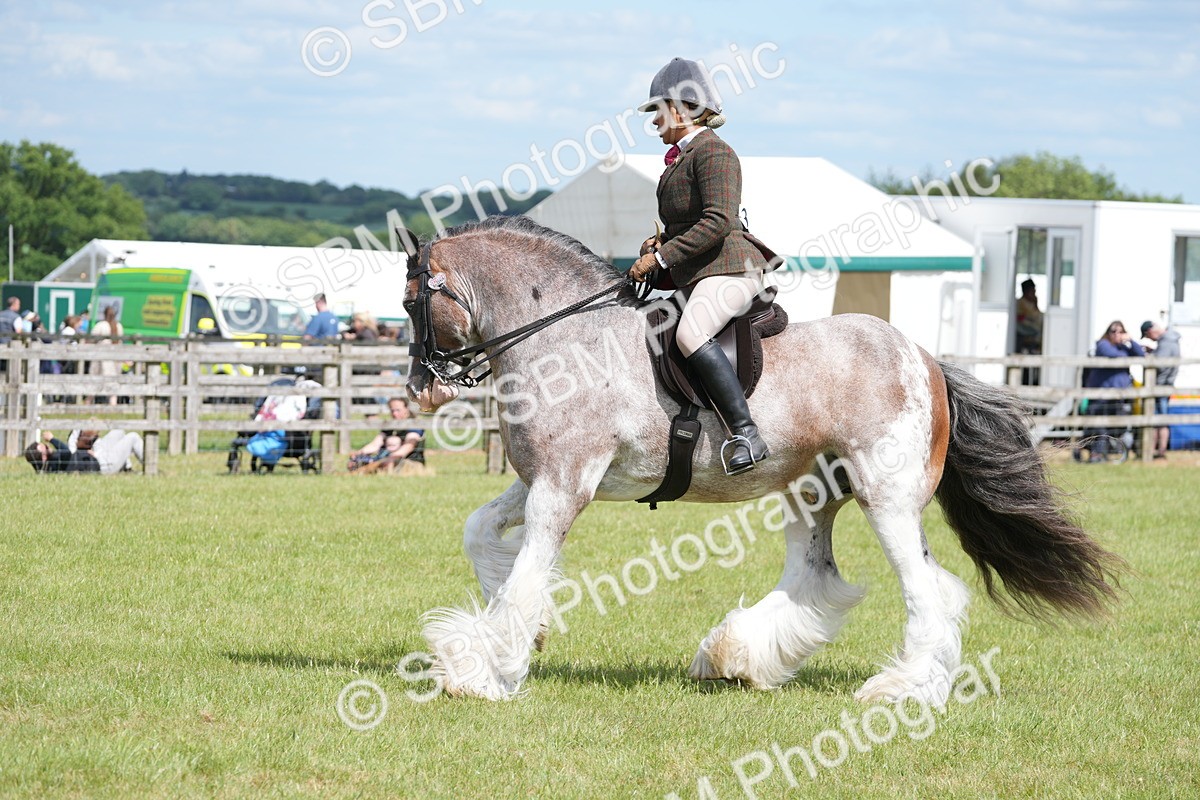 SBM_17205 - Class 107-108 - LIHS BSPS Performance Coloured Horse Pony
