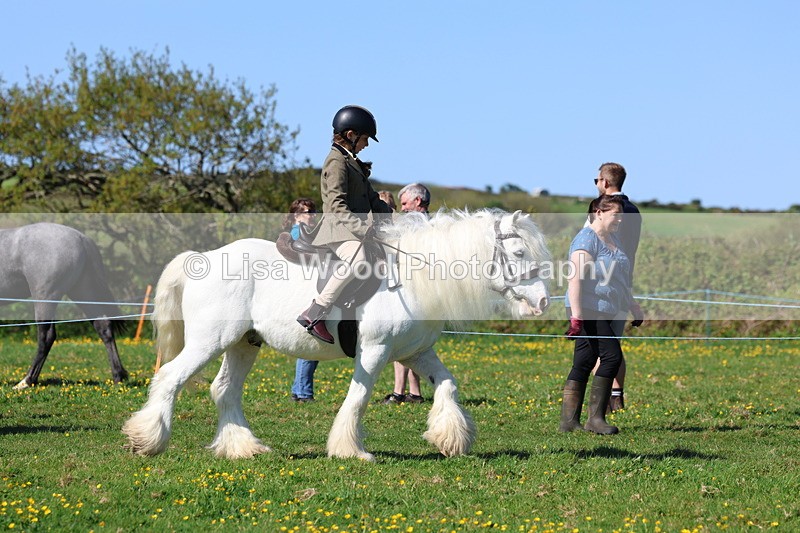 3E7A9114 - Class 3: First Ridden