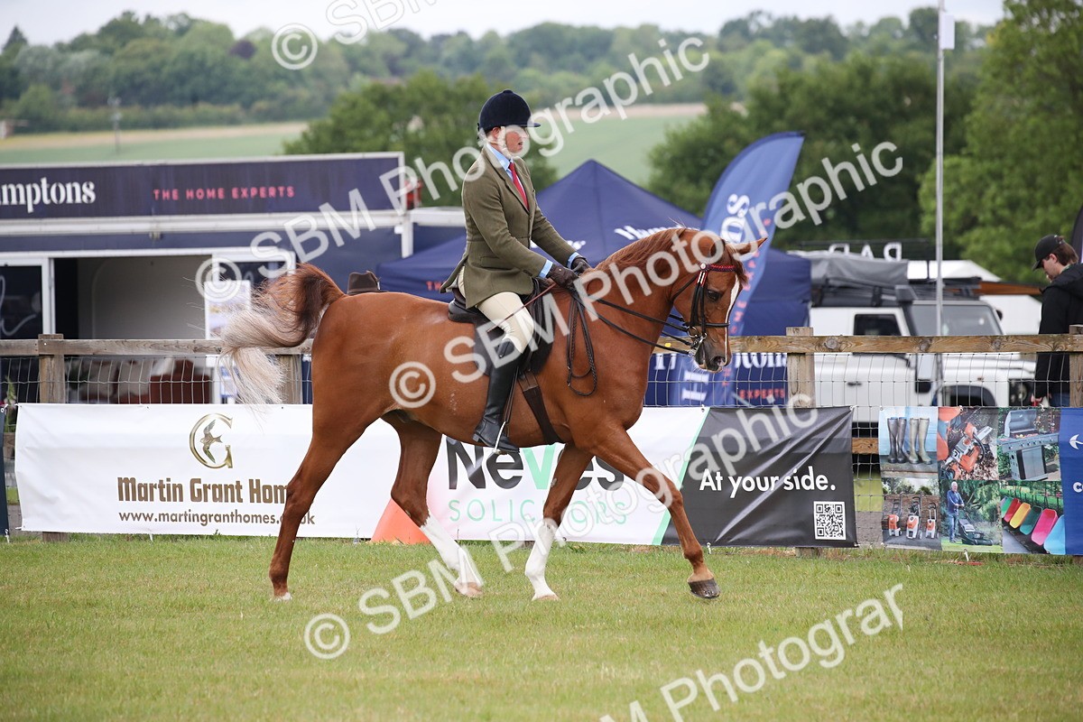 SBM_03596 - Class 21 - 22 - Ridden Arab and Part Bred/Anglo Arab