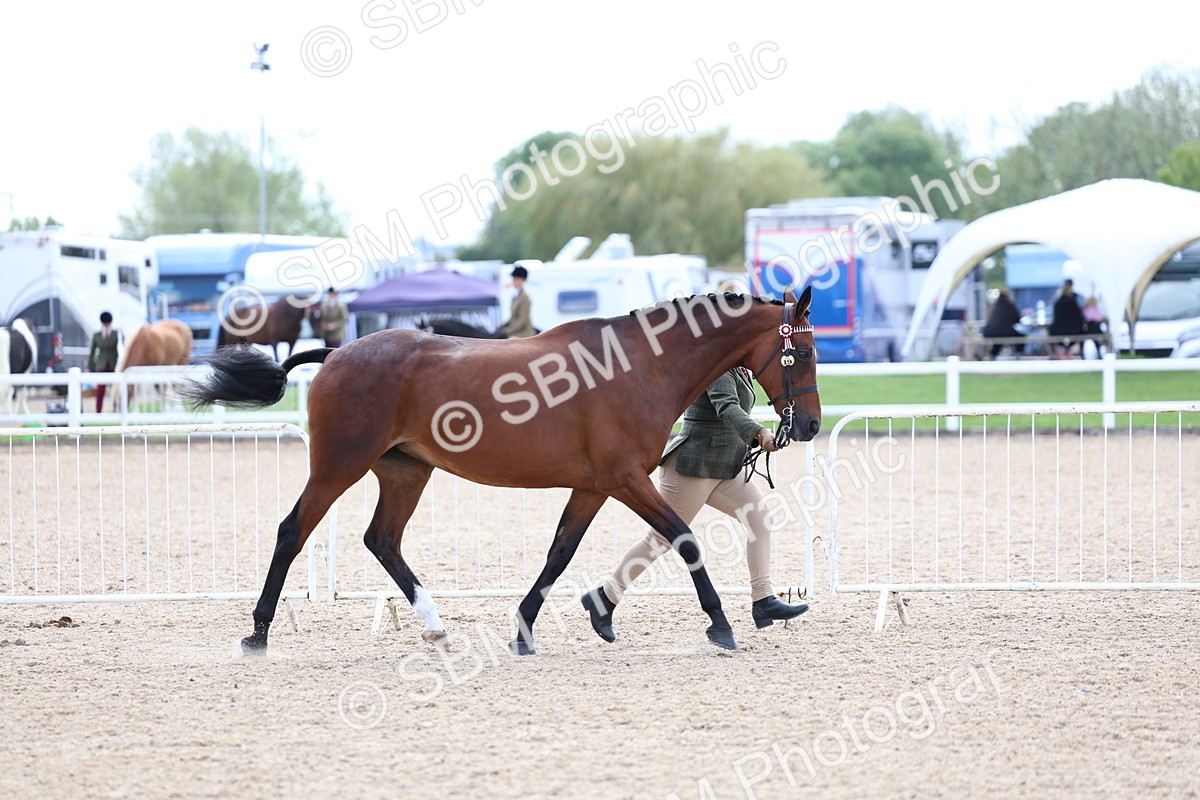 SBM_15328 - Class 312 - IH Competition Horse-Pony