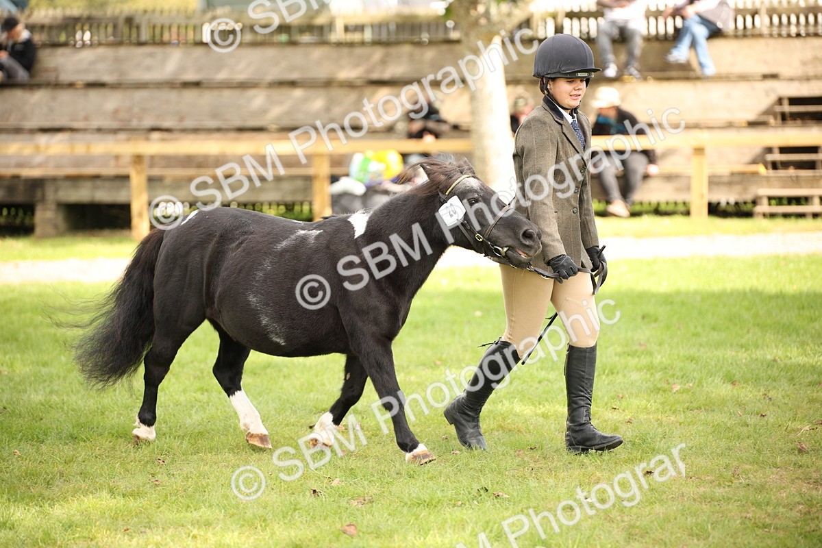 SBM_46380 - S25 - Mature Veteran In Hand