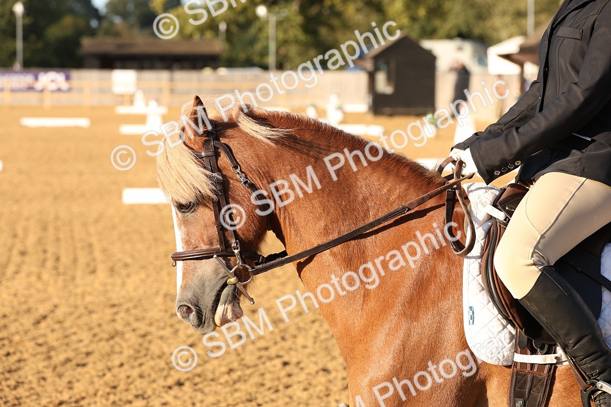 SBM_52839 - D12 - Small Tour Championship prelim 2