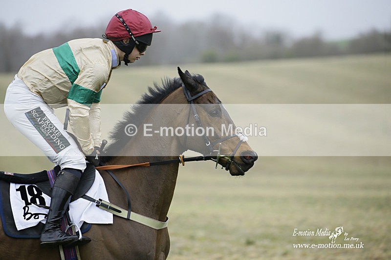 PtP 200222 392 - Countryside Alliance PtP Badbury Rings 20/02/22