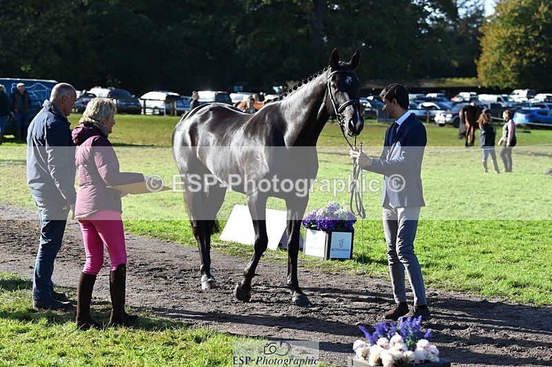 231022-111732-23869 - 560-TIMEPEICE.BLUE-Giorgio.Nardilli-TrotUp+SJ