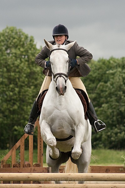 40 - Moniaive Horse Show 2010