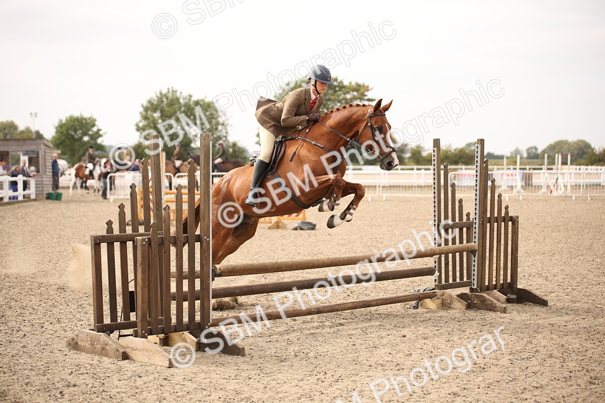 SBM_17078 - Class 409b - Working Veteran 80cm (20+)