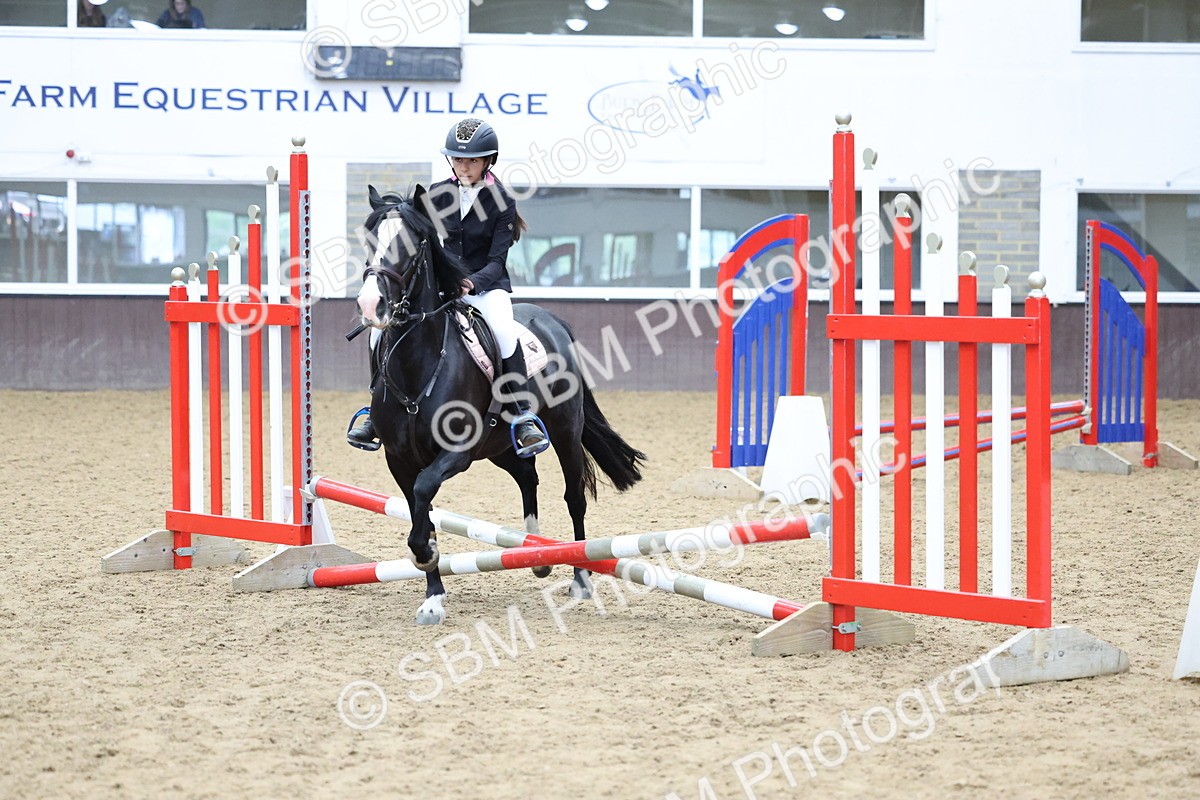 SBM_007361 - Class 2 - 50cm showjumping