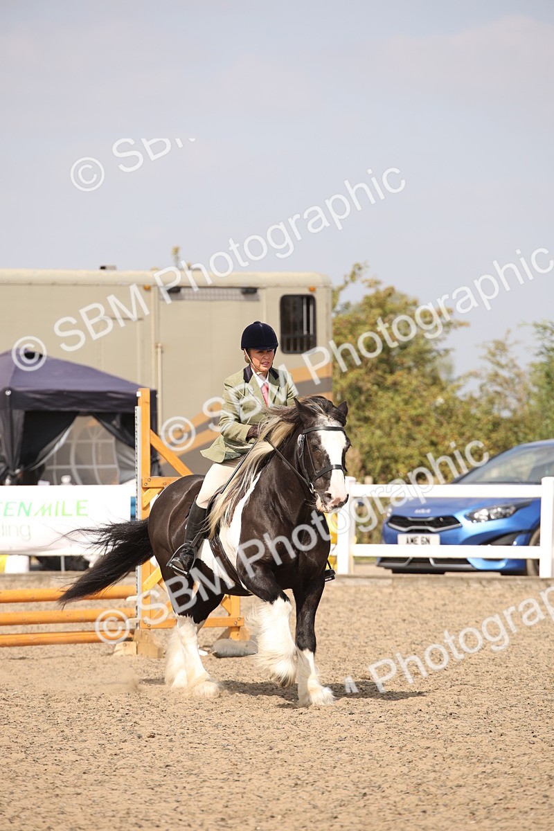 SBM_14335 - Class 407b - Working Veteran 60cm (20+)