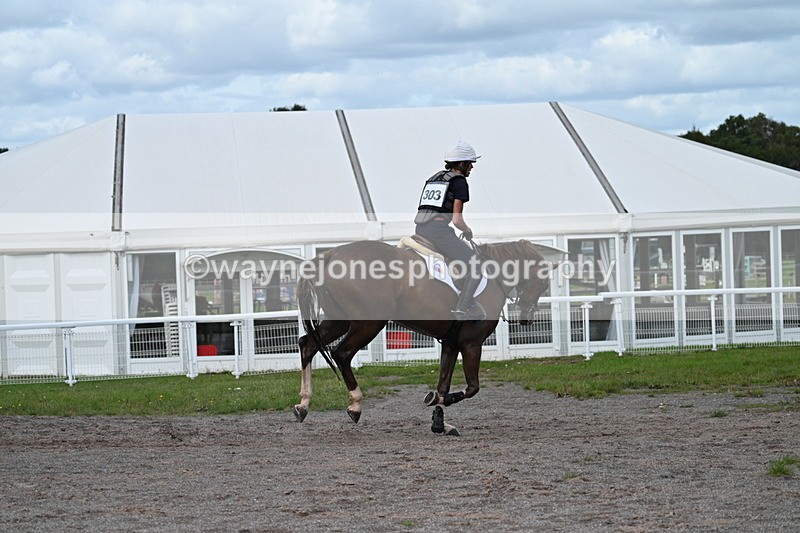 WJ7_1638 - Time 12:34 to 13:16