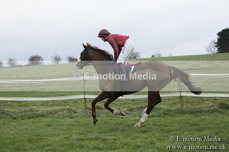 PtP 031217 67 - Hursley Hambledon Point-to-Point Larkhill 03/12/17