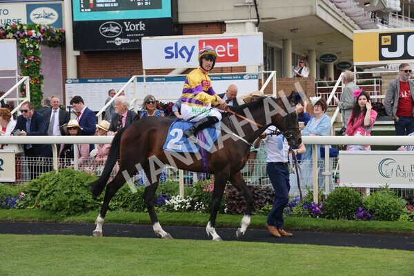 yr11062022r6-9 - Race 6 4.15pm Reg Griffin Appreciation EBFstallions.com Maiden Stakes