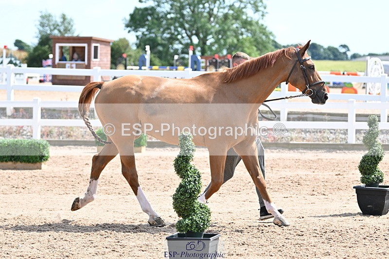 240717A-151302-02650 - Trot Up 3pm to 4pm