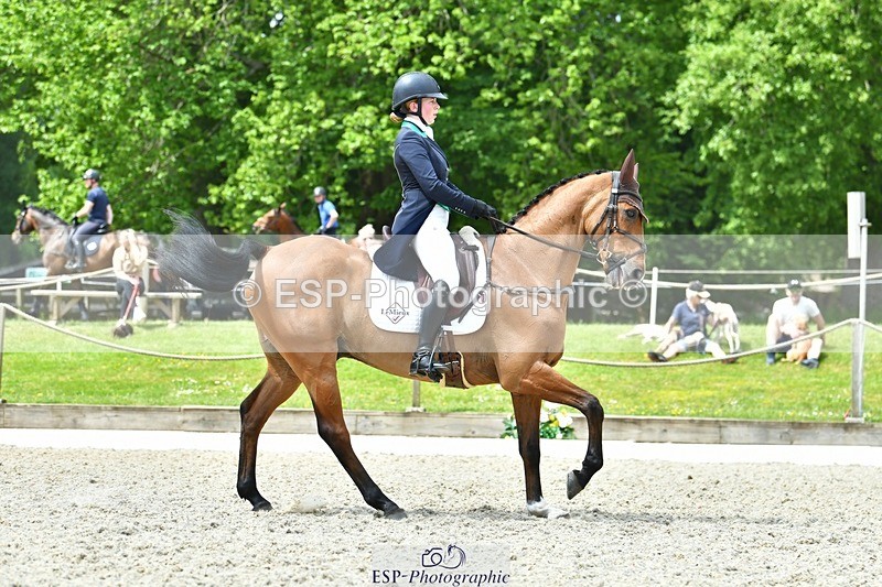 230525-120446-04162 - 206-MEXICAN_WAVE-Daisy_Bathe-WEDTrotUp+DR