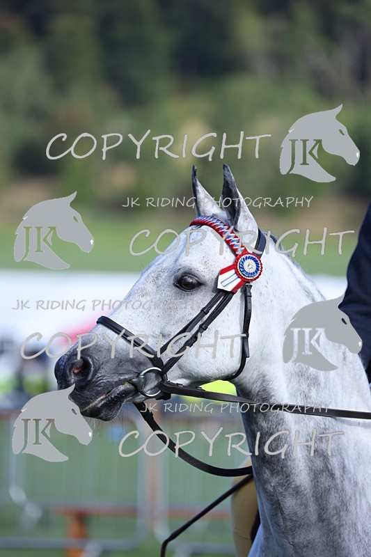 APP_2517 - Class 16 Best Turned Out