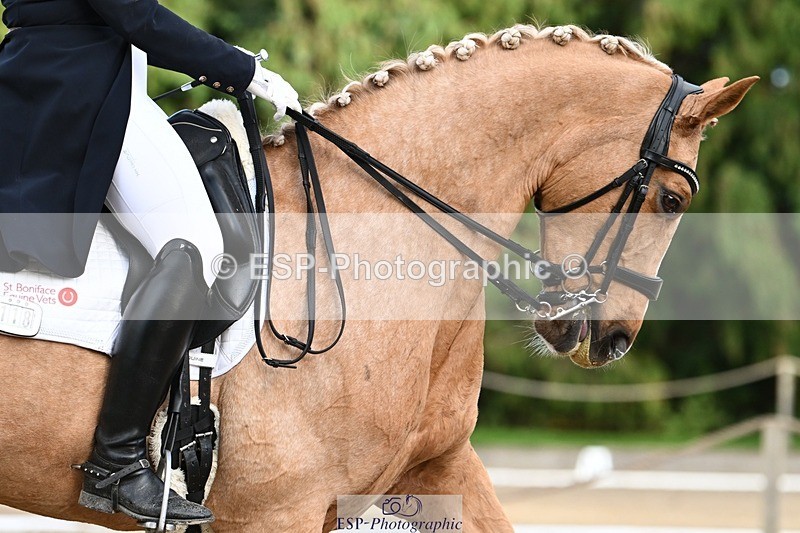 231110-153022-02221 - Cls 11 FEI PSG