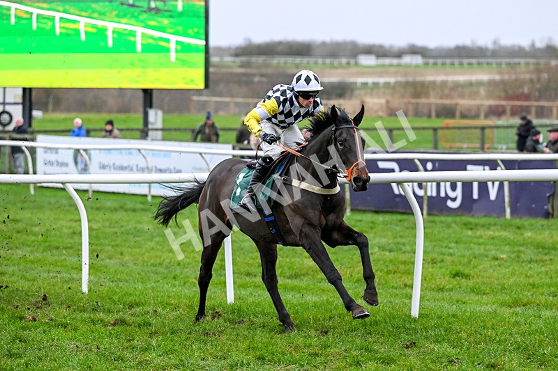 281225-Race 4-Ninna Collina-0782 - Race 4