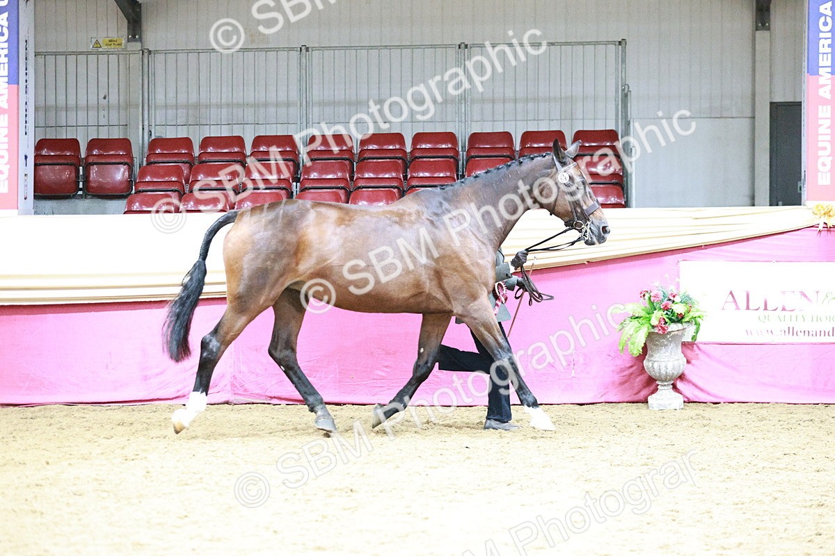 SBM_06623 - Regional - IH Champs