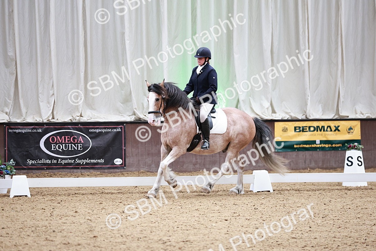 SBM_014232 - Class 7 - Ele FSM Bronze 12.12.13.08