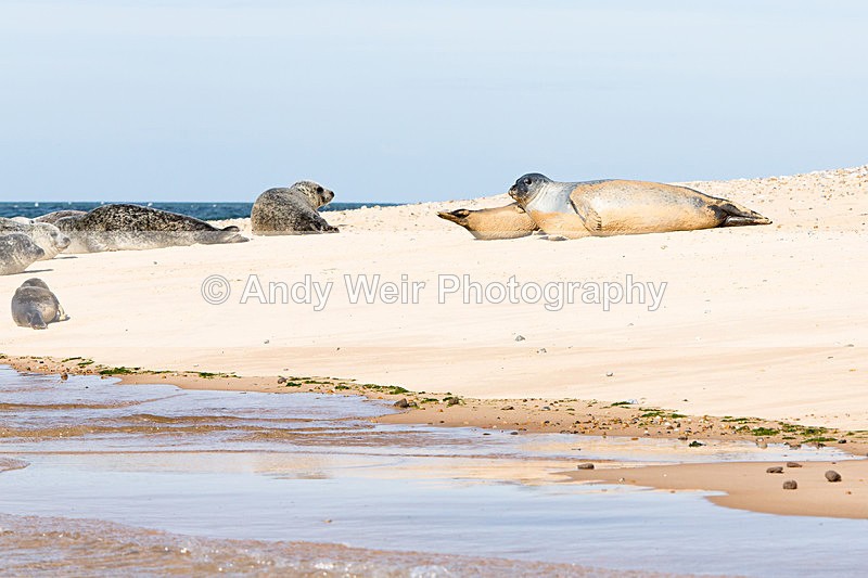 20141001-3K8A6209 - Common Seal