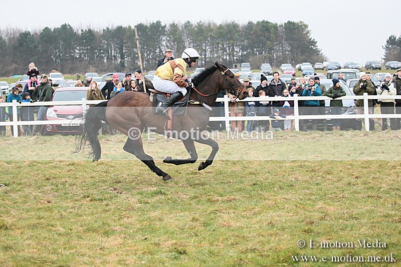 PtP 170219 -274 - Combined Services Point-To-Point Larkhill 17/02/19
