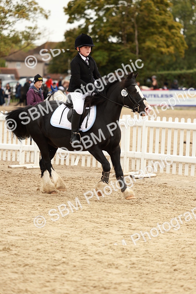 SBM_58032 - J11 - Junior Pony 50cm Championship