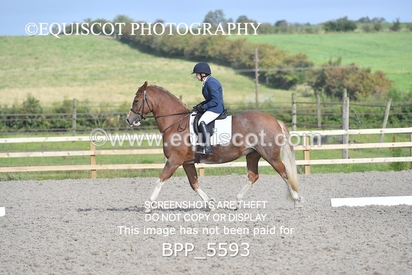 BPP_5593 - MY QUEST OPEN PRELIM TEST 1 + 2