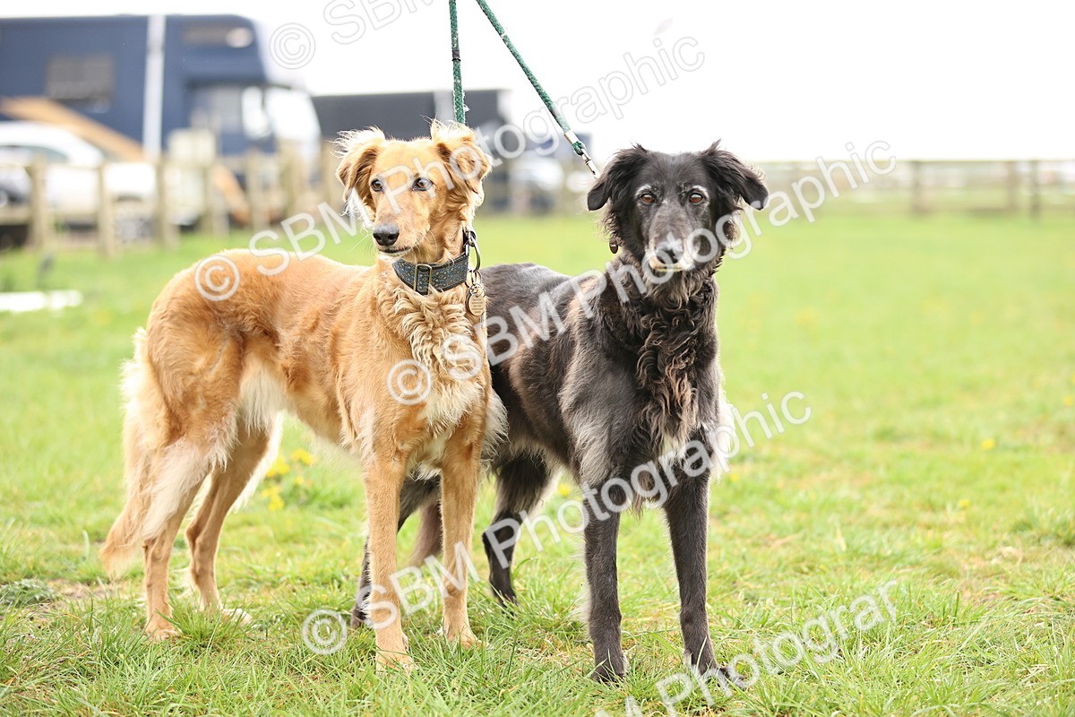 SBM_000262 - Class 3 - P4