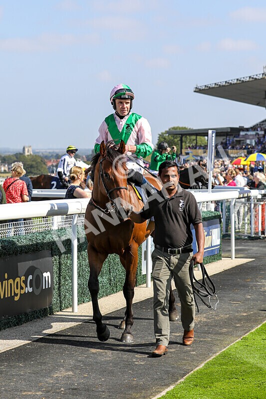 310824-Race 2-Democracy Dilemma-1182 - Race 2