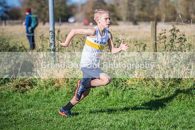 Cumbria XC-98 - Cumbria XC League Workington Saturday 26th October 2024