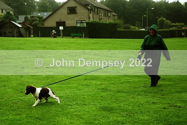 Wet Walk at Hillside Park copy - Walking the Dog