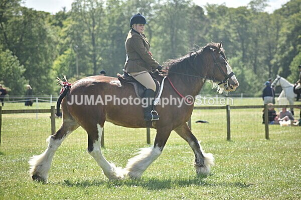 DSC_9239 - Rings 1 & 2