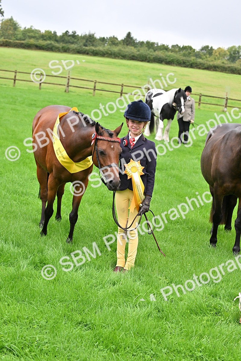 SBM_32661 - S15 - Top Turnout In Hand