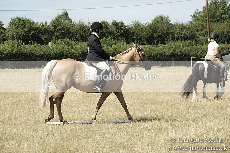 _PJP5805 - Dressage Classes BVRC Show 2018
