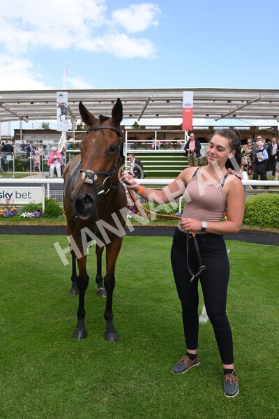 yr10062022r1-40 - Race 1 2.00pm Constant Security Gentlemen Amateur Riders Stakes