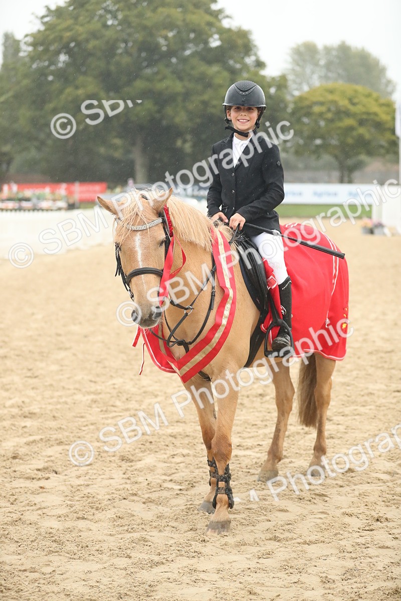 SBM_74295 - Supreme championship Junior Pony 70cm 75cm