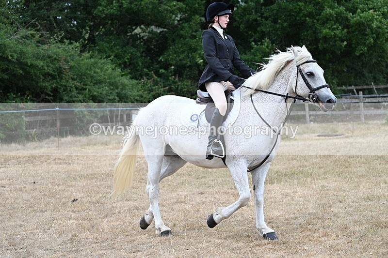 WJ7_0948 - Class 7 Riding Club Show Horse