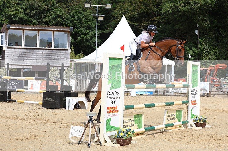 3E7A4279 - Class 8: Senior Foxhunter/1.20 open