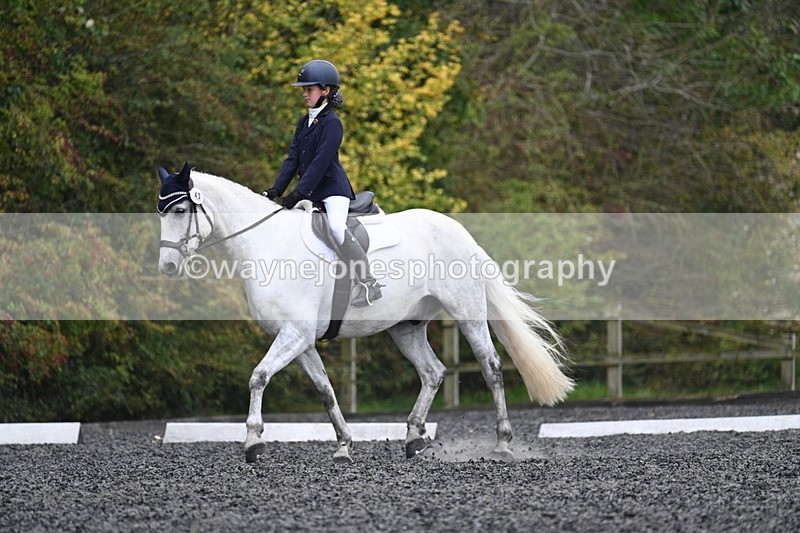 WJ7_6541 - Time 14:49 to 15:14