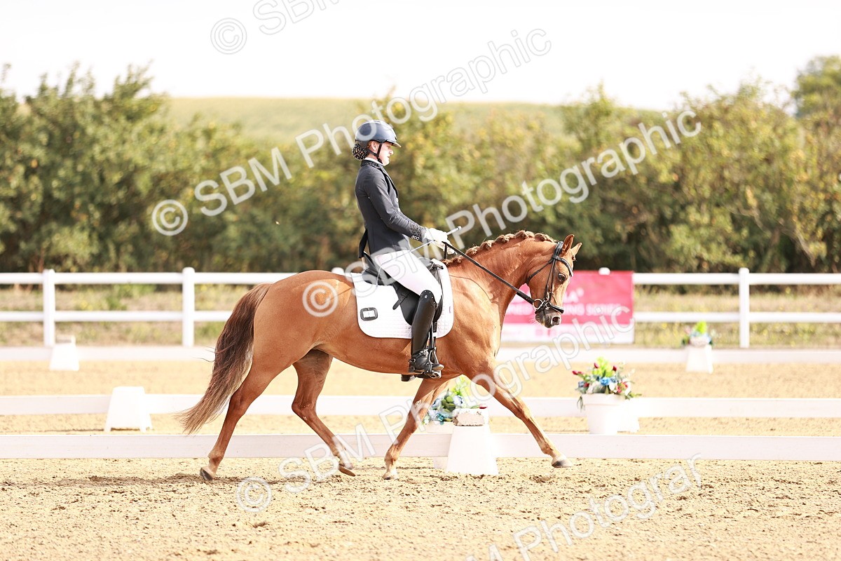 SBM_016907 - Class 10 - Medium 6