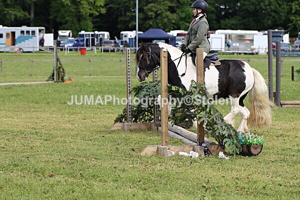 IMG_2378 - Working Hunter