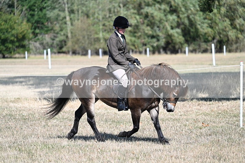 WJ7_3472 - Class 9 Mountain & Moorland Ridden