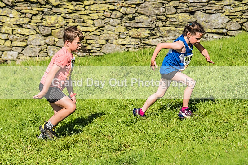 Loweswater Show-93 - Loweswater Show Junior & Senior Fell Races Sunday 3rd September 2023