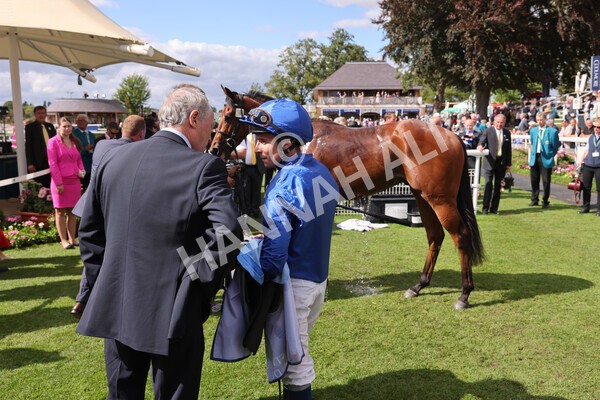 yr19082022r3-44 - Race 3 3.00pm Al Basti Equiworld Dubai Gimcrack Stakes